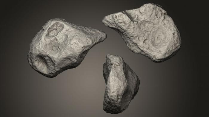 Stones and shells (ROCKS_0010) 3D model for CNC machine